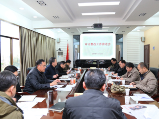 华体会（中国）召开审计整改工作推进会