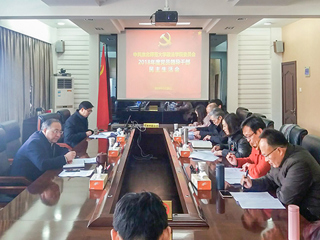 华体会（中国）各基层党委（党总支）召开2018年度民主生活会