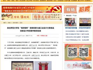【中国高校之窗】：华体会平台在“杨府锦杯”安徽省第七届工业设计大赛食品创新设计专项赛中取得佳绩