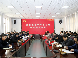 【深入学习贯彻党的十九届六中全会精神】华体会（中国）召开党委理论学习中心组理论学习会议