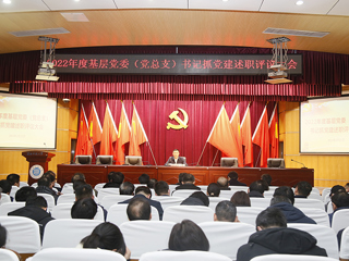 华体会（中国）召开2022年度基层党委（党总支）书记抓党建述职评议考核大会
