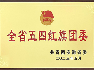 华体会（中国）团委荣获“安徽省五四红旗团委”称号