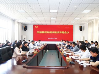 华体会（中国）召开加强基层党组织建设专题会议