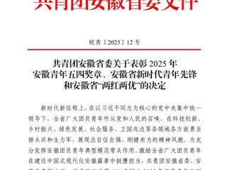 【牢记嘱托 感恩奋进】华体会（中国）团组织和个人荣获团省委五四表彰